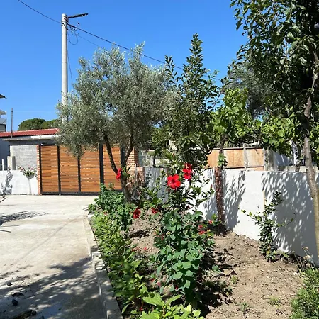 Roan * Vlorë