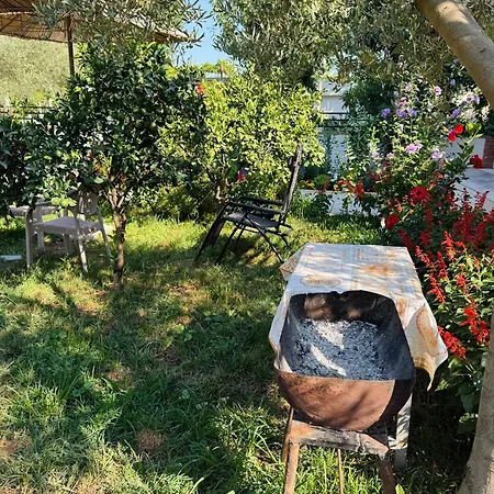Apartament Roan *