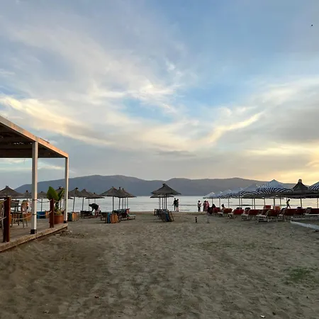 Roan * Vlore