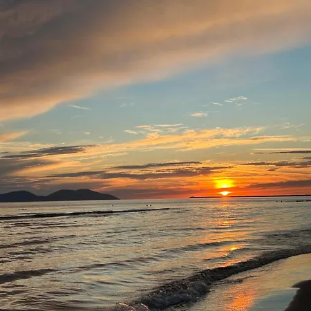 Roan * Vlore