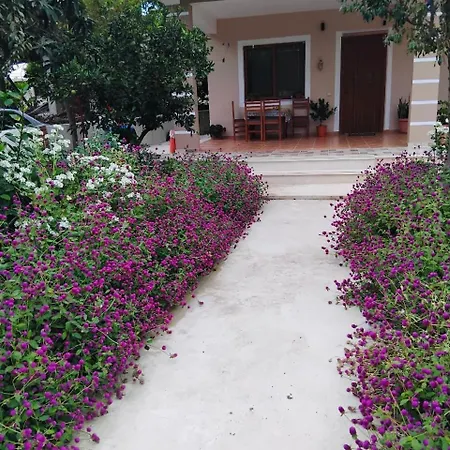Roan * Vlore
