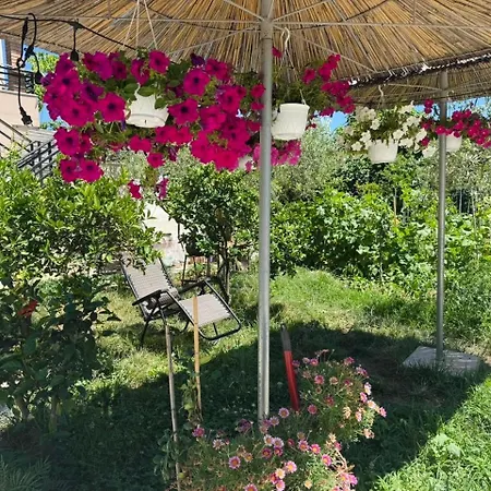 아파트 Roan Vlorë